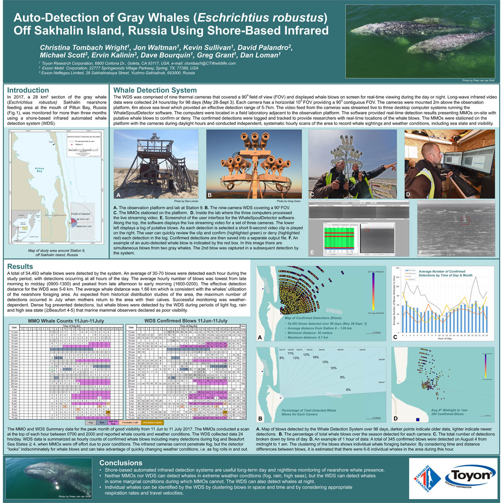 Auto Detection Gray Whales Sakhalin Island 2019 Poster